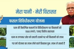haryana crop diversification scheme